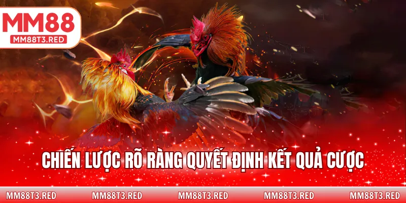Chiến lược rõ ràng quyết định kết quả cược