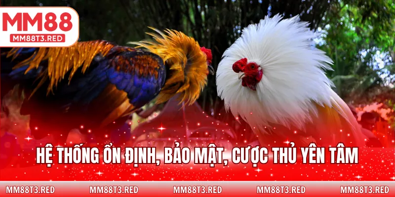 Hệ thống ổn định, bảo mật, cược thủ yên tâm