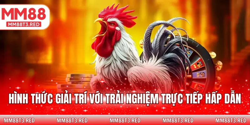 Hình thức giải trí với trải nghiệm trực tiếp hấp dẫn